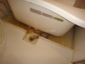 世田谷区で「バスタブ下部高圧洗浄」を作業させていただきました       まずは、バスタブ下の「エプロン」と呼ばれる部分を開けます。      はい、パカッ。こんな感じです。       洗浄前はこのような感じです。髪の毛、ヘドロのような汚れで全体的に、茶色になっています。       中にはコバエがいました。 お客様、このコバエが気になって、ご依頼いただいたとのことです。       約40分後、こんなにキレイになりました。 今回のお客様のお宅のバスタブは、少し持ち上げることができました。 このタイプですと、バスタブの底まで洗浄できますので、よりキレイになります。     キレイになった状態に、お客様も喜んでいただきました。 ありがとうございました。    バスタブ下、汚れています
