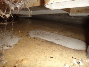 バスタブ下部洗浄前