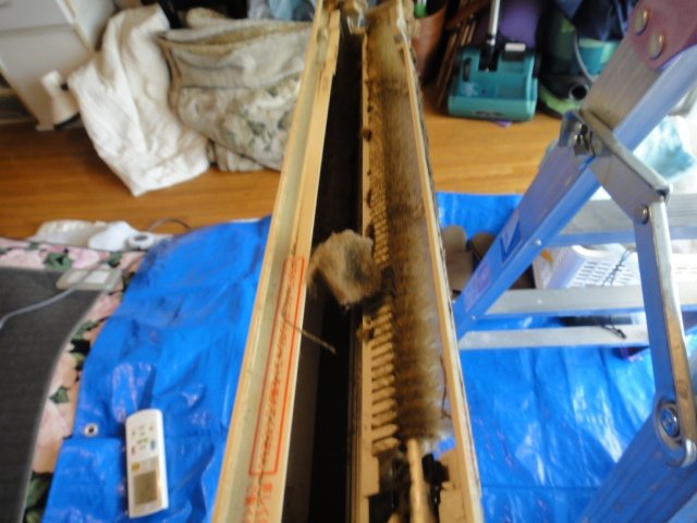 F28JTSXSのダストボックスの中