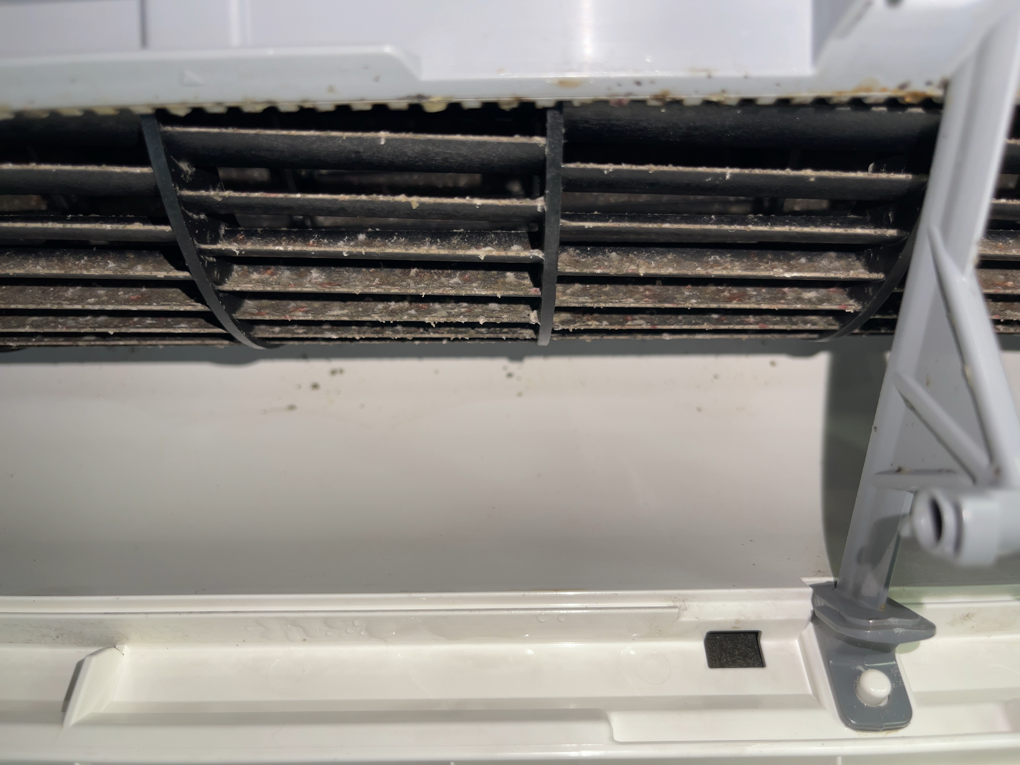 洗浄前の吹き出し口